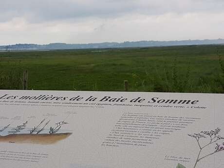 Belvédère les Mollières de la Baie de Somme