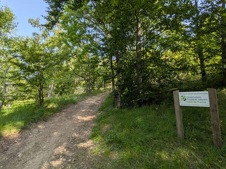 Au-dessus des creuttes de Neuville