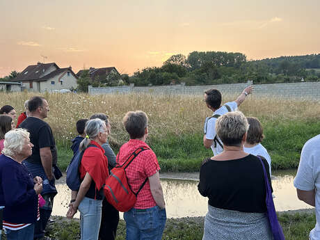Randonnée nocturne sur le Chemin des Dames