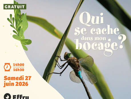 Sortie nature "Libellules, moules d’eau douce, écrevisses... à la découverte de la faune de la rivière"