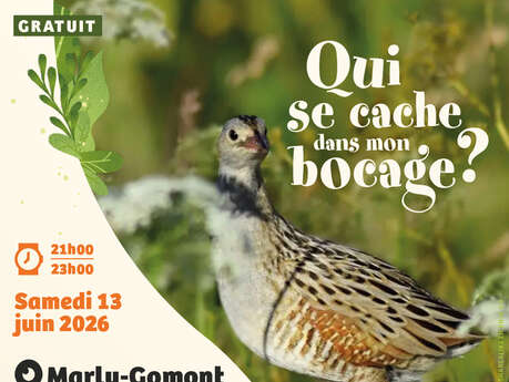 Sortie nature "A la recherche du Râle des genêts, le « roi des cailles », emblème des prairies de la vallée"