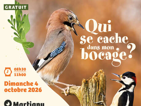 Sortie nature "Observation des oiseaux migrateurs en vallée du Ton"