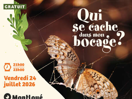 Sortie nature "Découverte des papillons de nuit de la vallée du Hurtaut"