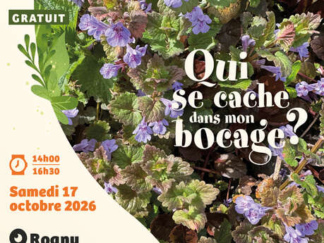 Sortie nature "Plantes comestibles du bocage"
