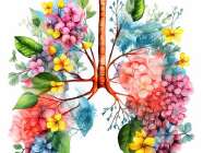 Sophrologie - Yoga - Méditation