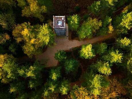 Le trail d'automne : La Tour d'observation  Mangin par le ru de Retz