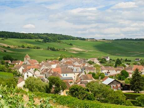 Depuis Château-Thierry (3 jours), au cœur des vignes de Champagne et des paysages vallonnés (122 km)