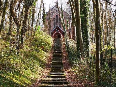 Focus sur le bois de Cise, une station balnéaire entre terre et mer