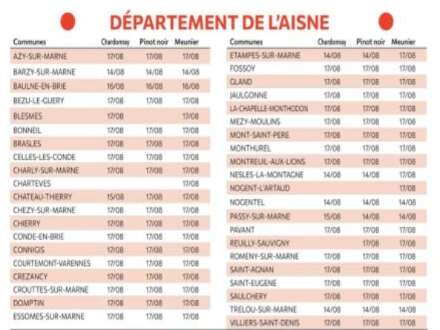 Vendanges 2026