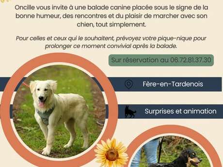 Balade ton chien