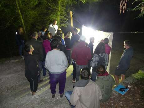 Sortie Nature: la nuit tous les papillons ne sont pas gris !