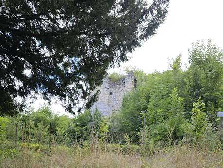 Vestiges du château de la folie