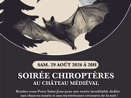 Soirée chiroptères à Château-Thierry COMPLET