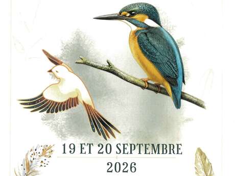 Exposition ornithologique à Viels-Maisons