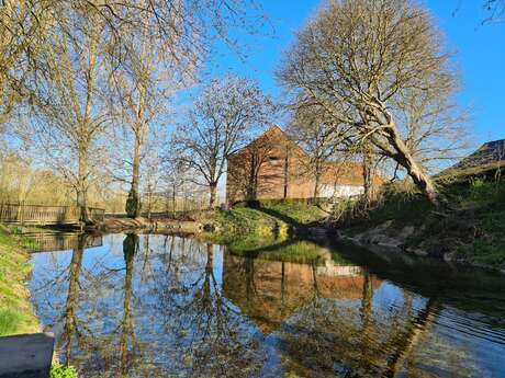 Les sources de la Somme