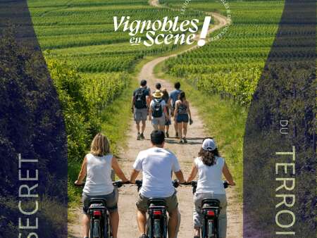 Vignobles en scène avec le champagne Méteyer