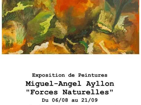 Exposition Miguel-Angel Ayllon du 06/08 au 21/09/2025.