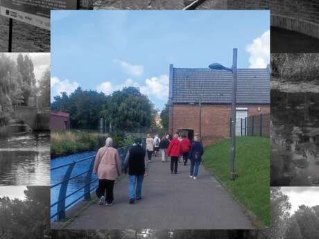 Balade urbaine : les milieux humides à Grande-Synthe