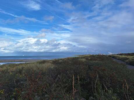 Visite en bus : La biodiversité au coeur du port