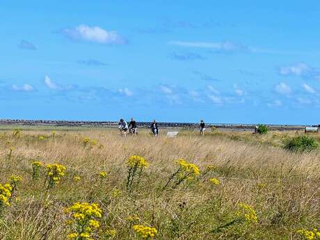 Contre vents et marées
