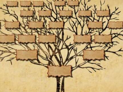 Animation généalogie