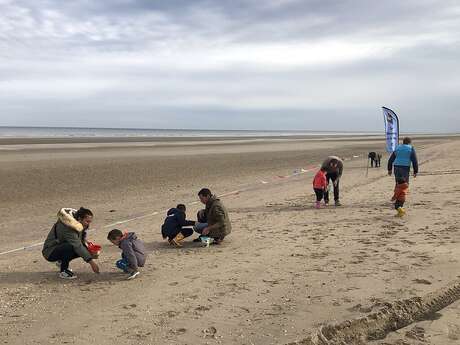 Découverte des coquillages du littoral dunkerquois