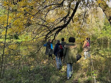 Avec les oiseaux, au bois / Promenade et atelier d'écriture