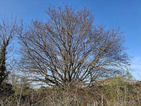 Découverte du Parc du vent