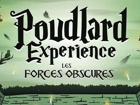 Poudlard Experience : Les forces obscures