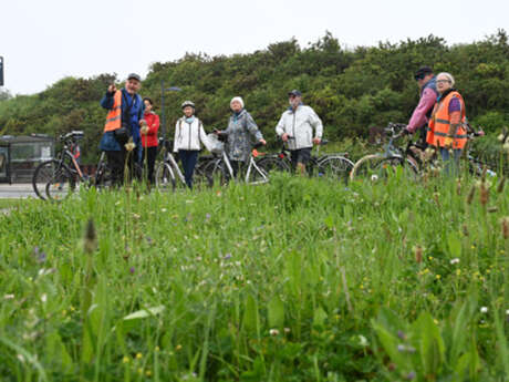Promenade à vélo art & espace public