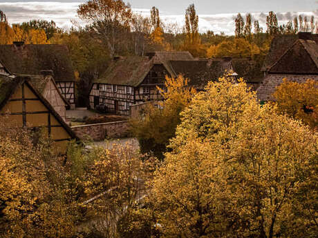 Märchen und Legenden des Herbstes