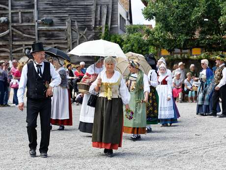 A Colorful Wedding Celebration