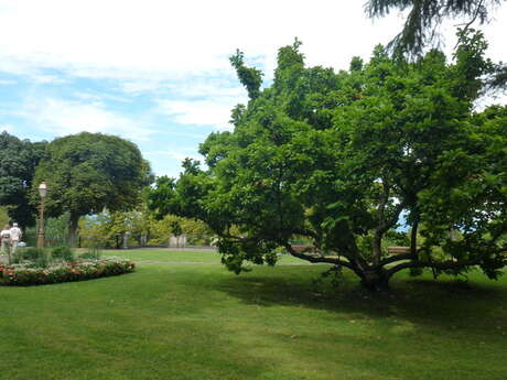 Guided tour of the Bas Rebberg neighbourhood