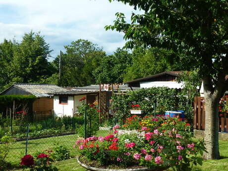 Guided tour of the Haut Rebberg district