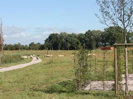 Parc du Rabbargala