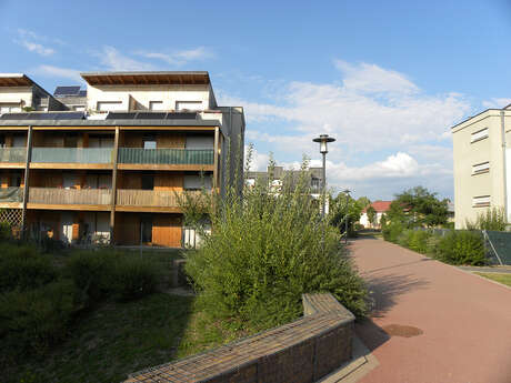 Führung : Wolf Wagner, des prés à l'éco-quartier Führung : Wolf Wagner, des prés à l'éco-quartier