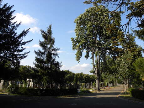 Guided tour : the cemetary, between art and history