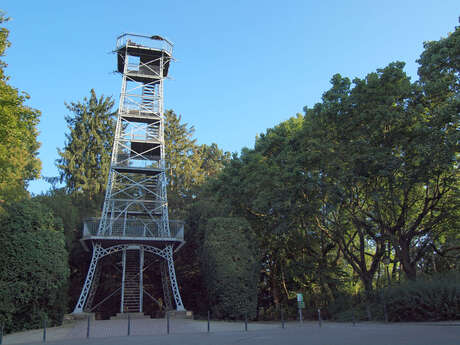 Ich gehe hoch zum Belvedere