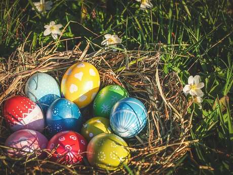 Egg hunt: all the way to the nest!
