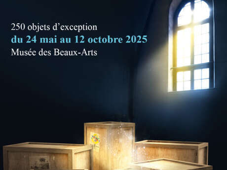 Exposition :  Pépites ! Lumière sur les collections mulhousiennes