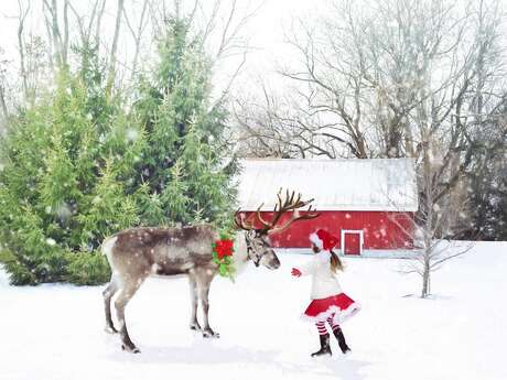 Straßentheater: Die Rentiere der Weihnacht