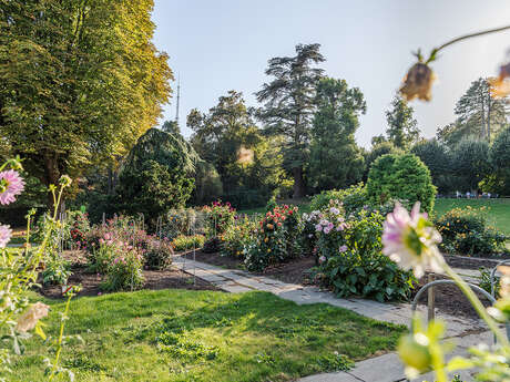 Visite guidée : Mimétisme et camouflage