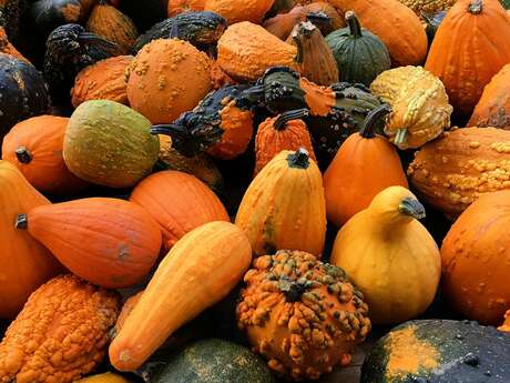 Fête d'Automne Fête d'Automne