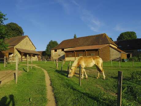 Poney club Equi-libre
