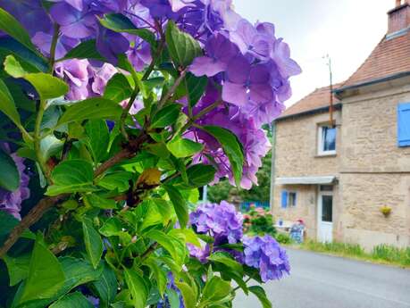 LA PROVENCE