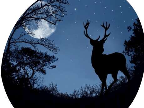 À la rencontre du peuple de la nuit et du brame du cerf