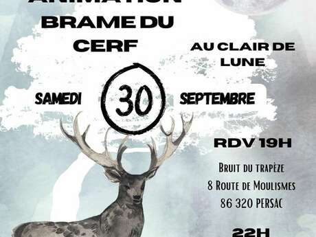 Brame du cerf à la pleine lune et soupe à l'oignon Brame du cerf à la pleine lune et soupe à l'oignon