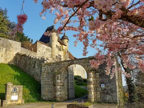 Le Château d'Excideuil