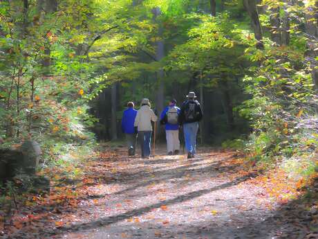 Association "Rando Sud Creuse"