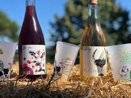 Domaine de Bonvin